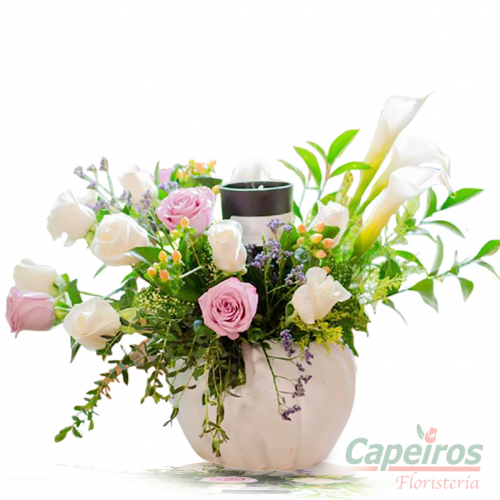 Rosas 120