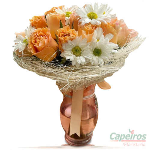 Rosas 123