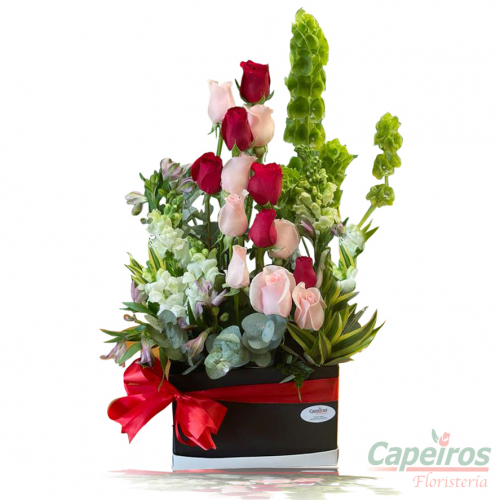 Rosas 125