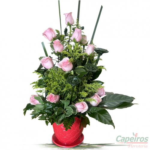 Rosas 126