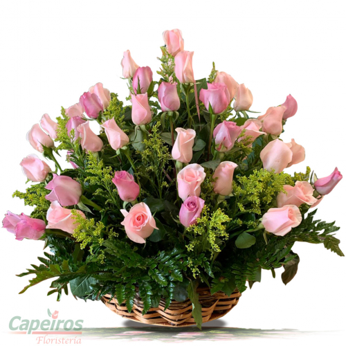 Rosas 127