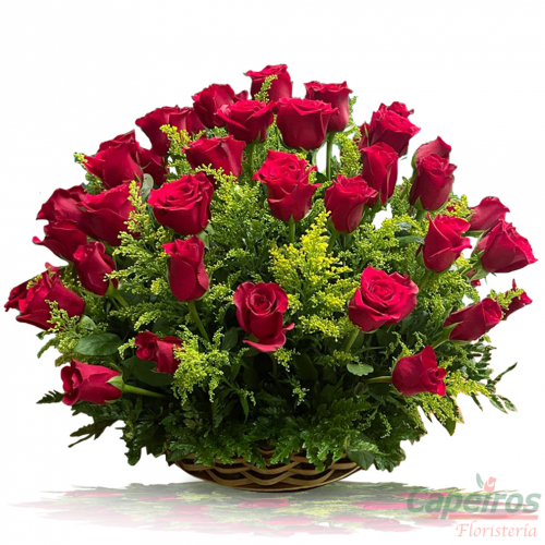 Rosas 129