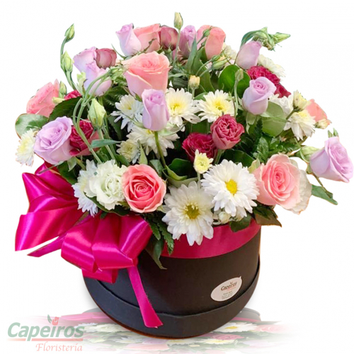Rosas 134