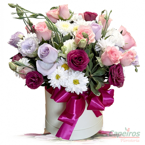 Rosas 137