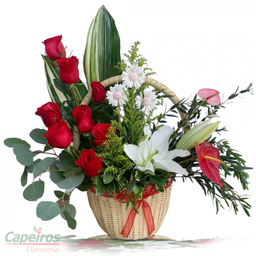 Rosas 139