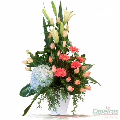 Rosas 141