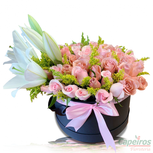 Rosas 142