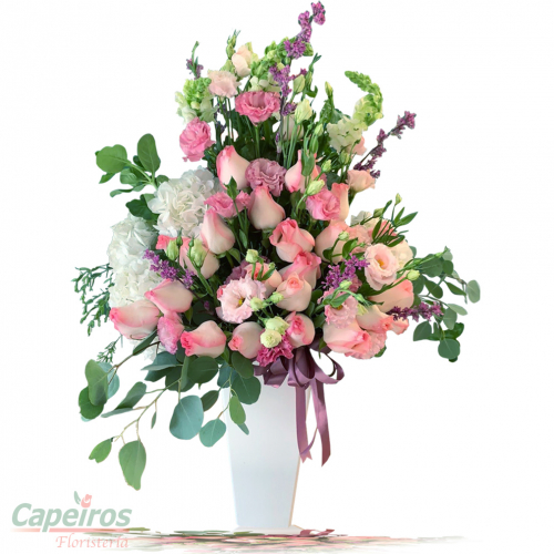 Rosas 143