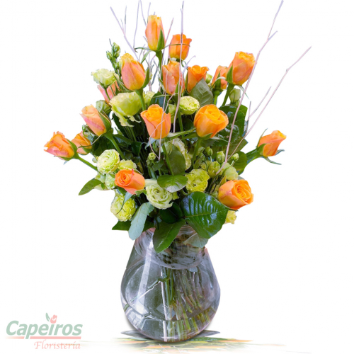 Rosas 144