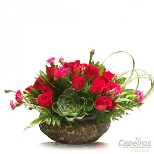 Rosas y Suculenta 01