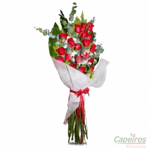Rosas 057