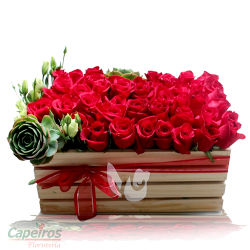 Rosas 062