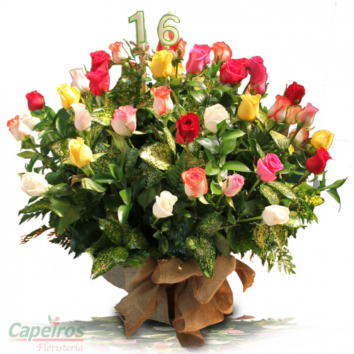 Rosas 106