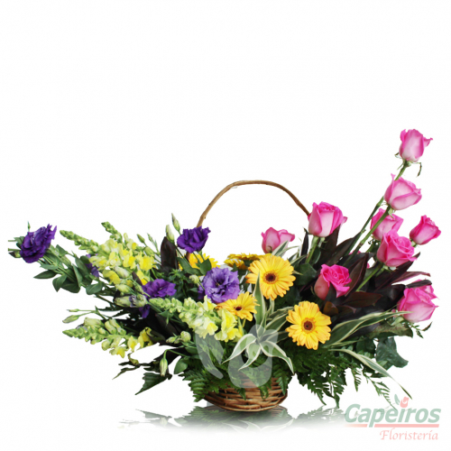 Canasta Primaveral 02