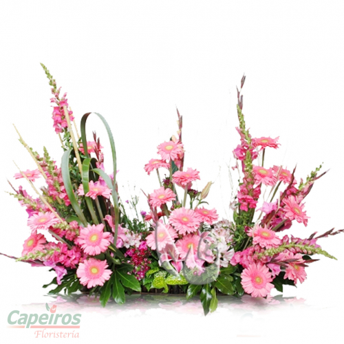 Primaverales 003