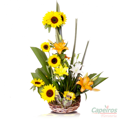 Primaverales 008