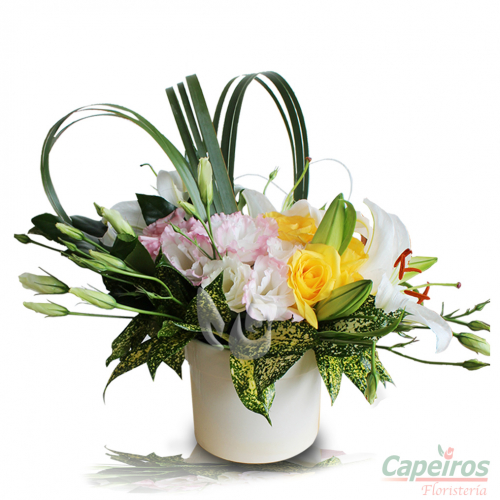 Primaverales 012