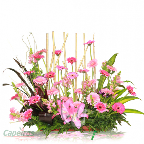 Primaverales 013