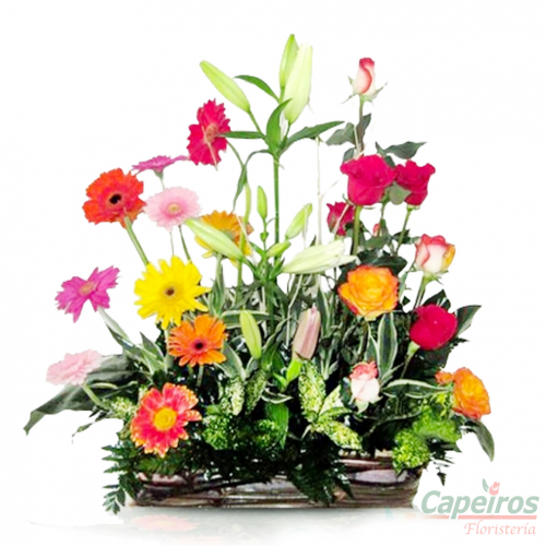 Primaverales 022