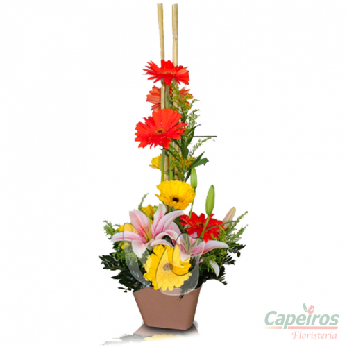 Primaverales 024