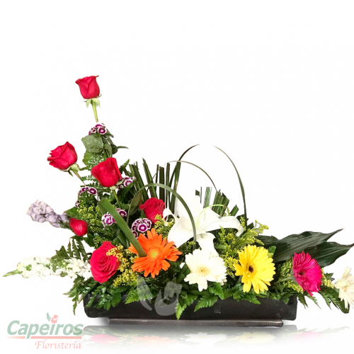 Primaverales 064
