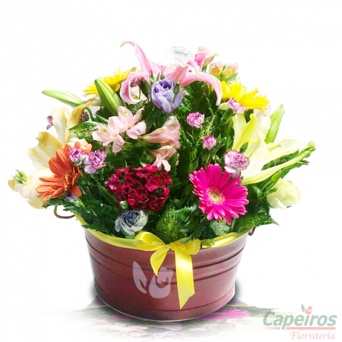 Primaverales 066