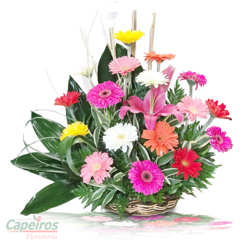 Primaverales 069