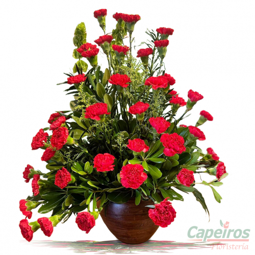 Primaverales 074