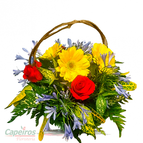 Primaverales 079