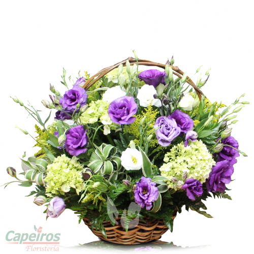 Primaverales 082