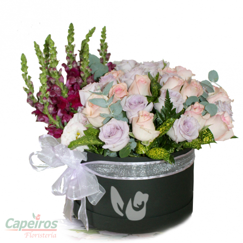 Primaverales 094
