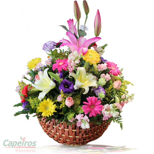Primaverales 095