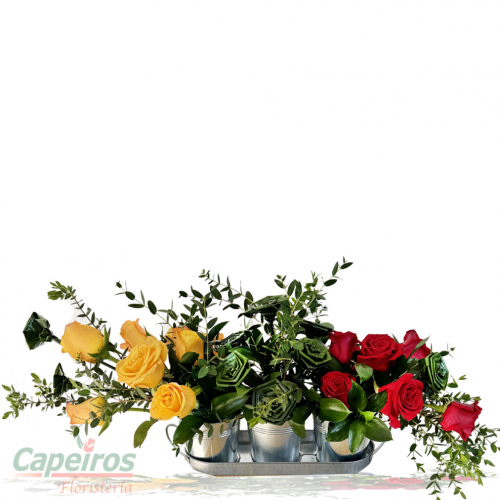 Primaverales 123