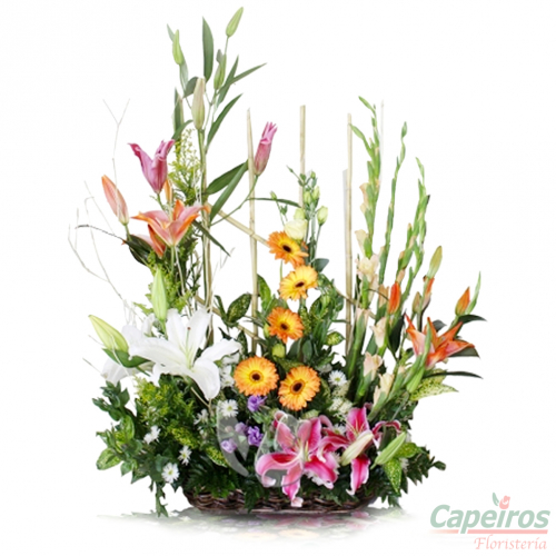 Primaverales 026