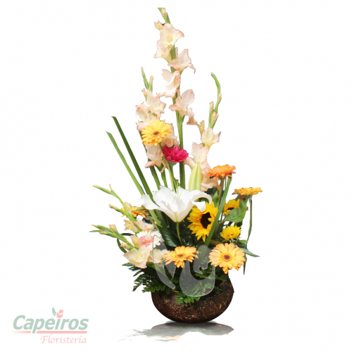 Primaverales 027