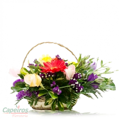 Primaverales 028