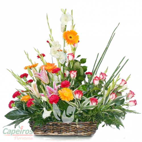 Primaverales 030
