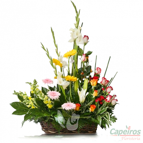 Primaverales 031