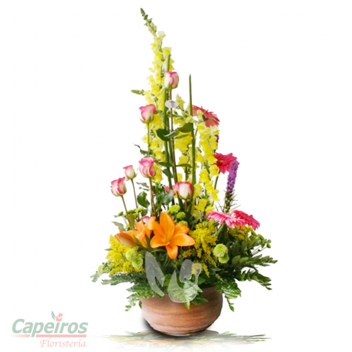 Primaverales 032