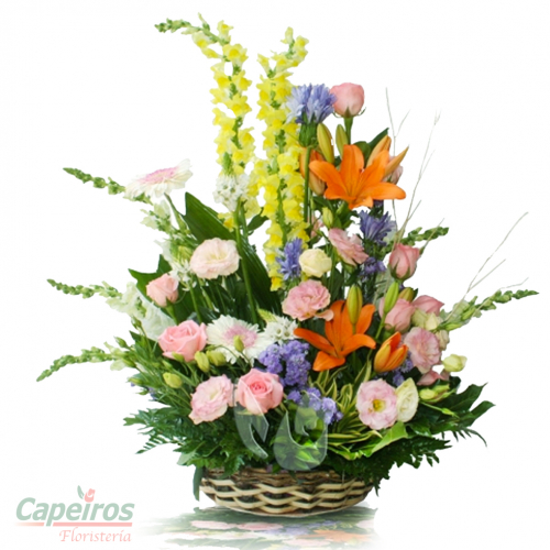 Primaverales 033