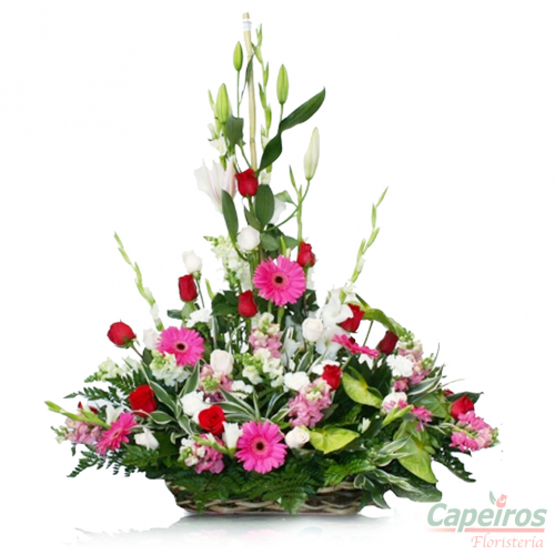 Primaverales 035