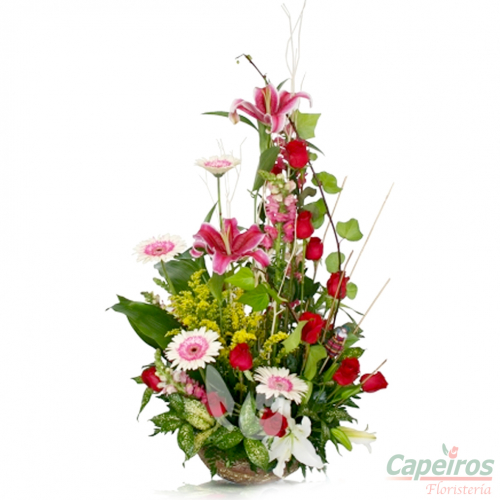 Primaverales 036