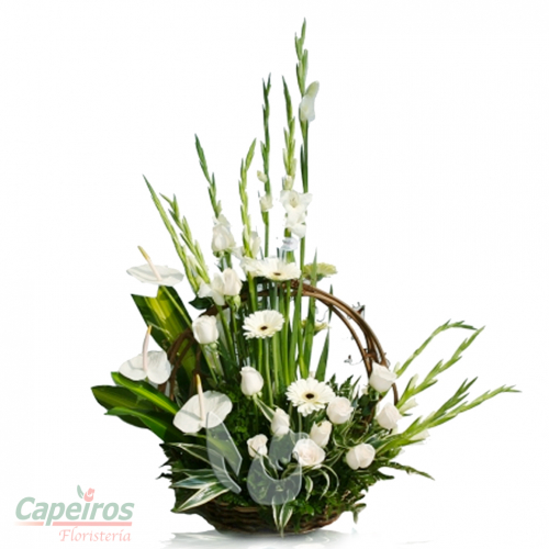 Primaverales 037