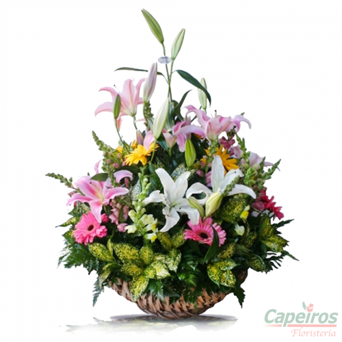Primaverales 038
