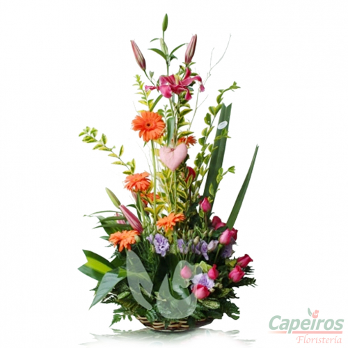 Primaverales 041