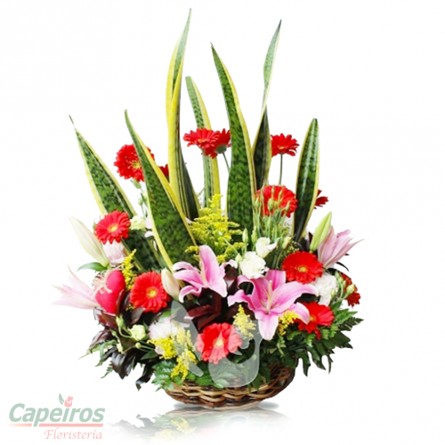Primaverales 042