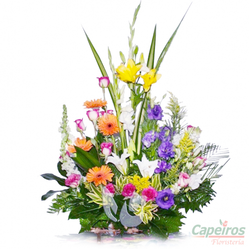 Primaverales 046
