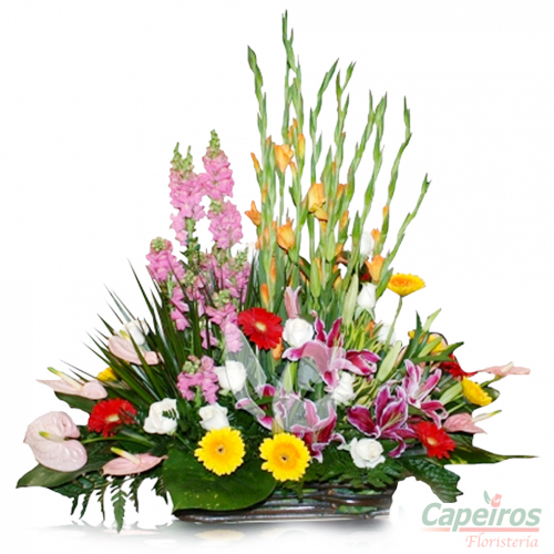 Primaverales 047