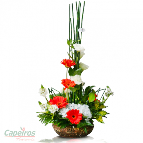 Primaverales 048