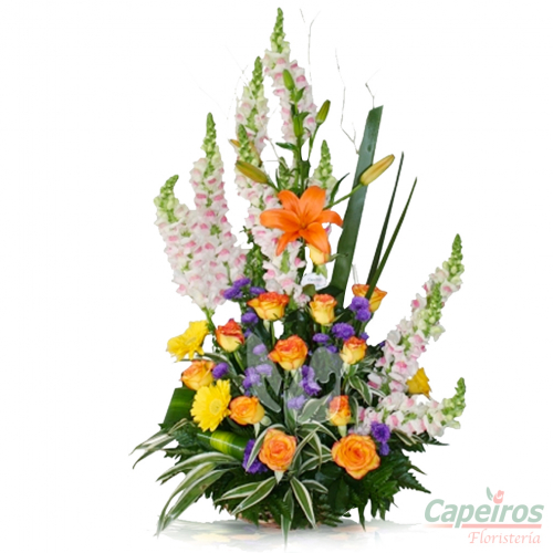 Primaverales 049